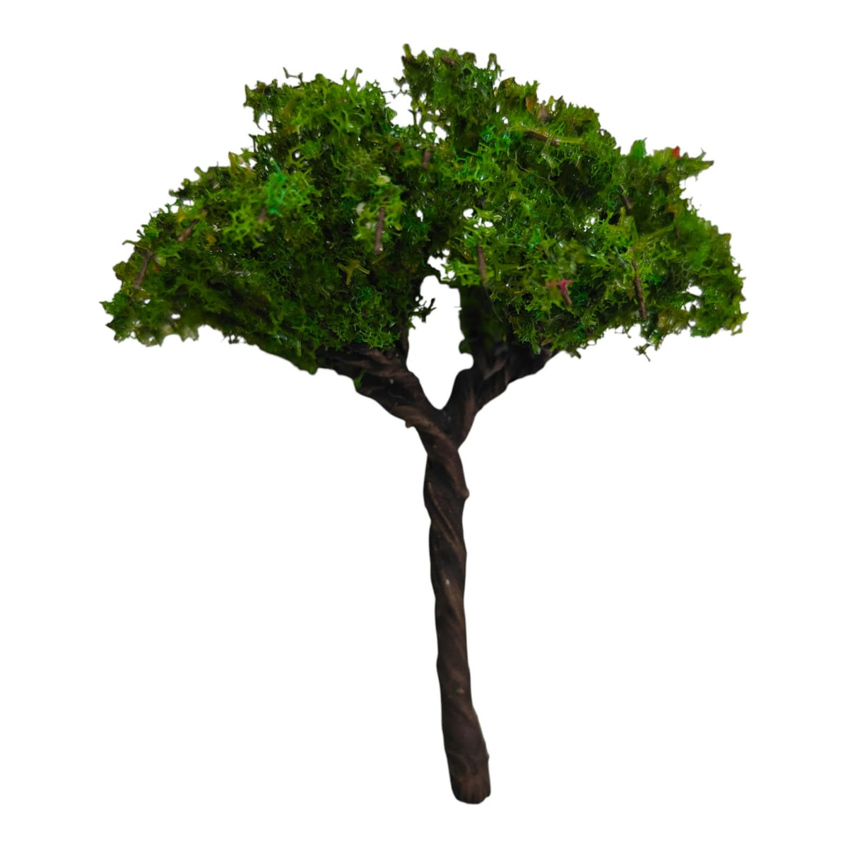 Big Tree_11