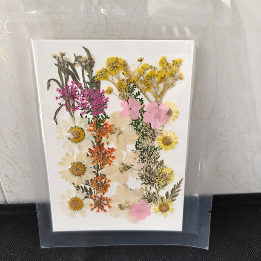 Pressed Flower _47