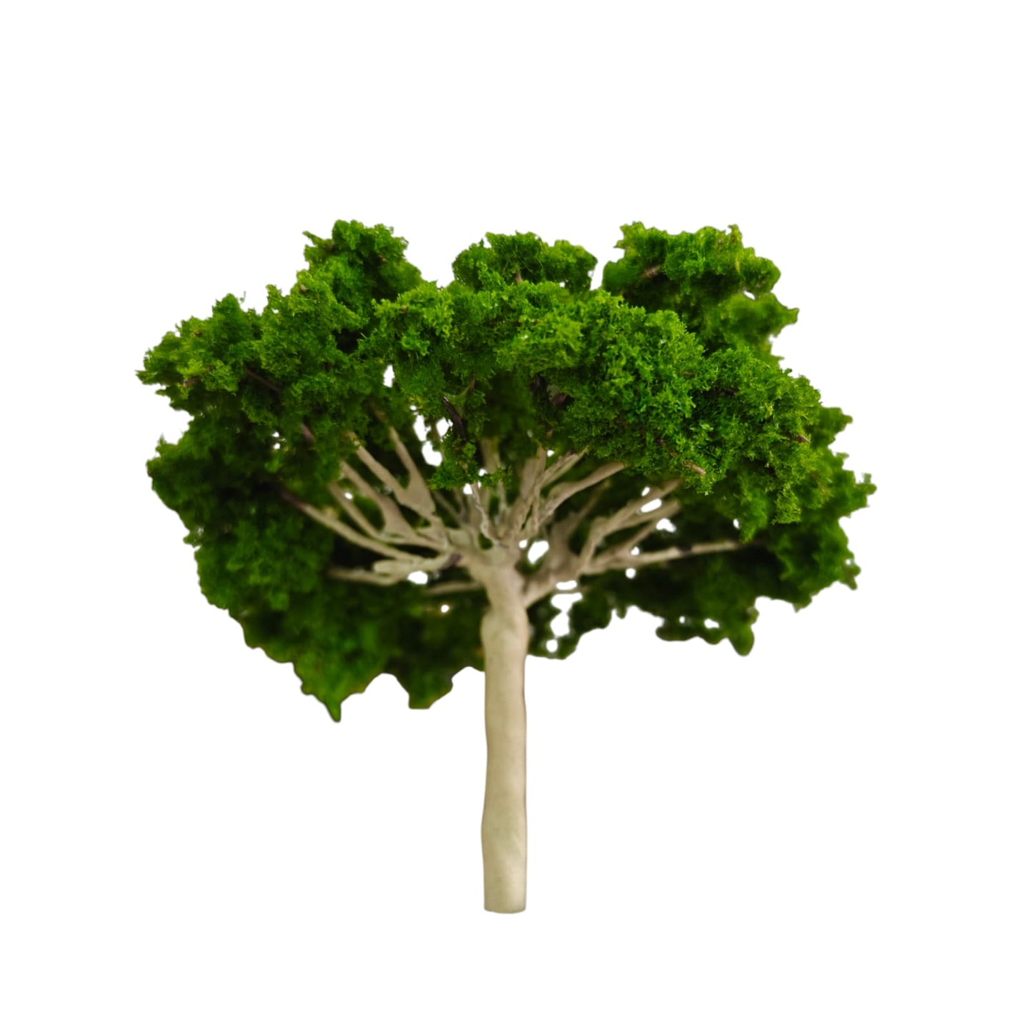 Big Tree_02