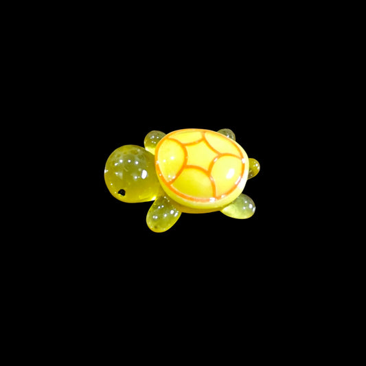 Glowing Turtle