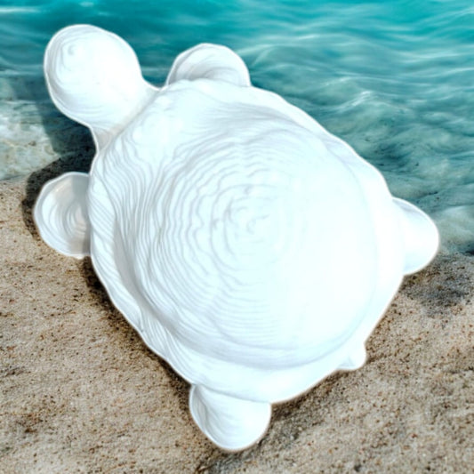 Tortoise