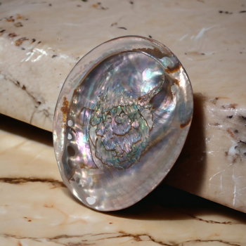 Green Abalone Shell