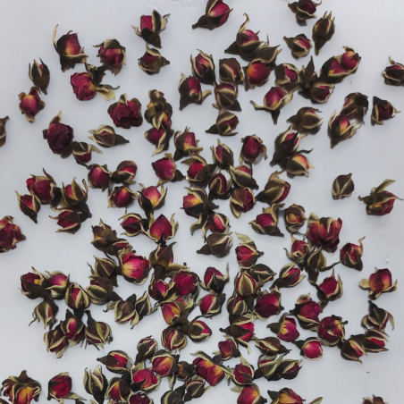 Rose buds