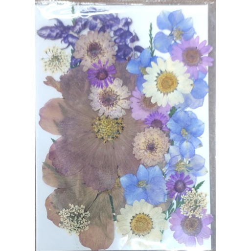 Pressed Flower _19