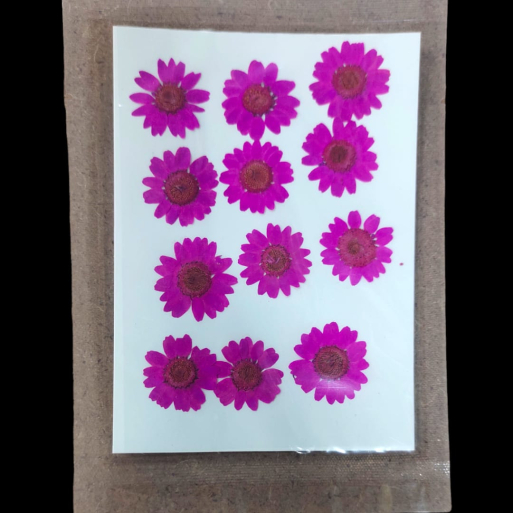 Pressed Flower _09