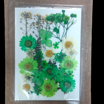 Pressed Flower _26