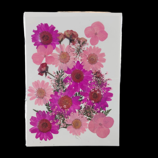 Pressed Flower _23