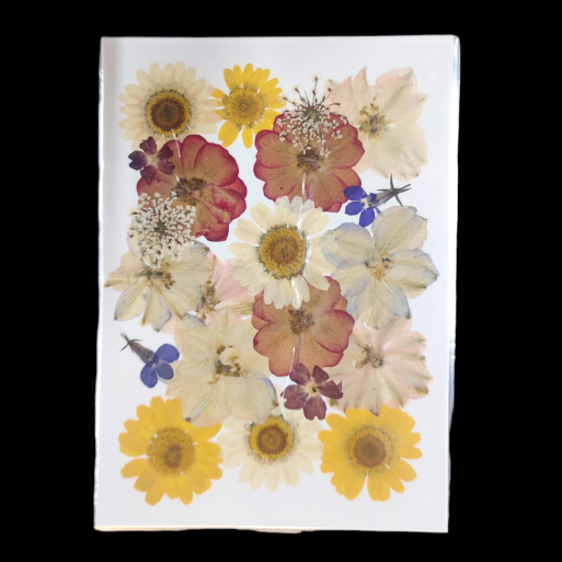 Pressed Flower _39