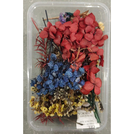 Flower Box_37