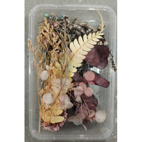 Flower Box_43