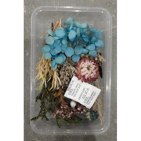 Flower Box_58