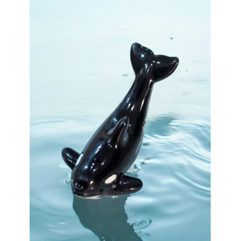 Orca whale small