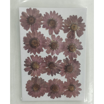 Pressed Flower _45