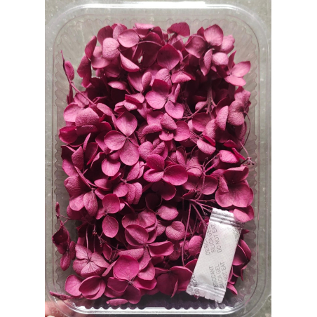 Hydra Dark  Pink Dry Flower Box