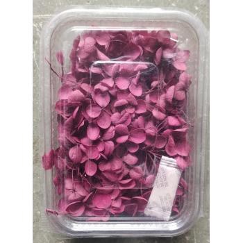 Hydra Dark  Pink Dry Flower Box