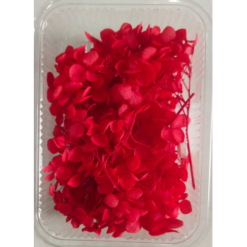 Hydra Red Dry Flower Box