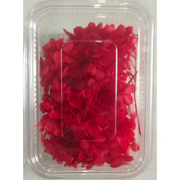 Hydra Red Dry Flower Box