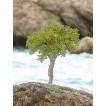 Tree_75