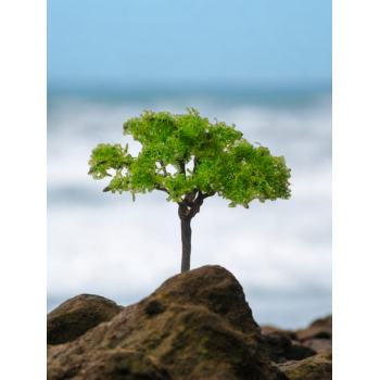 Tree_77