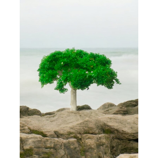 Tree_78