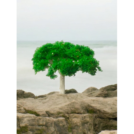 Tree_78