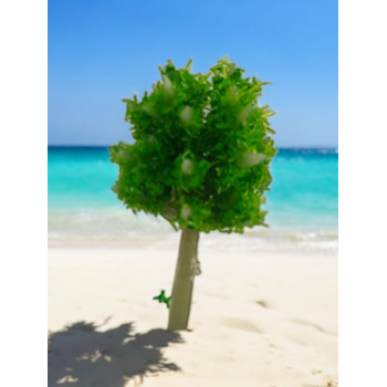 Tree_82