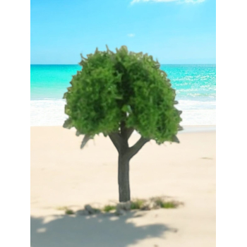 Tree_85