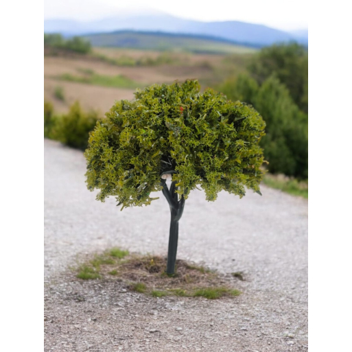 Tree_89