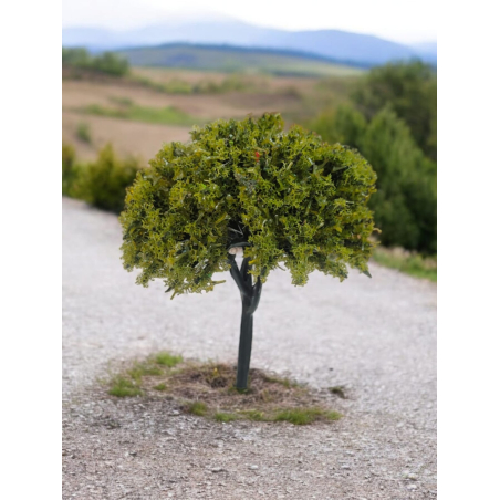 Tree_89