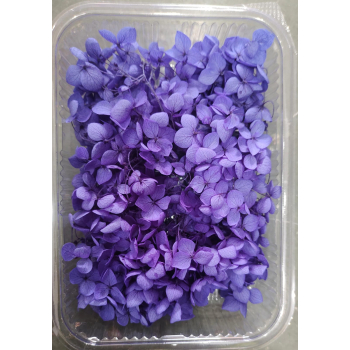 Hydra  Purple Dry Flower Box