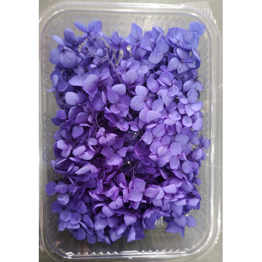 Hydra  Purple Dry Flower Box