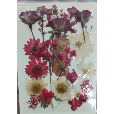 Pressed Flower _25