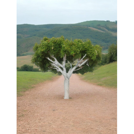 Round tree Big Dark Green