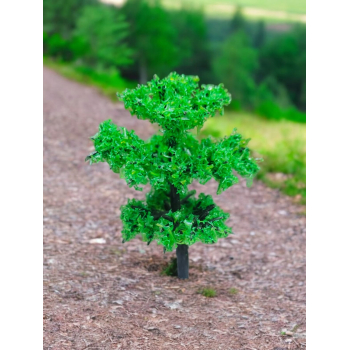 Tree_71