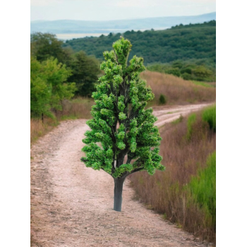 Tree_003