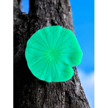 Big  Leaf's