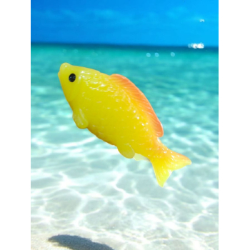 Animated Fish_02