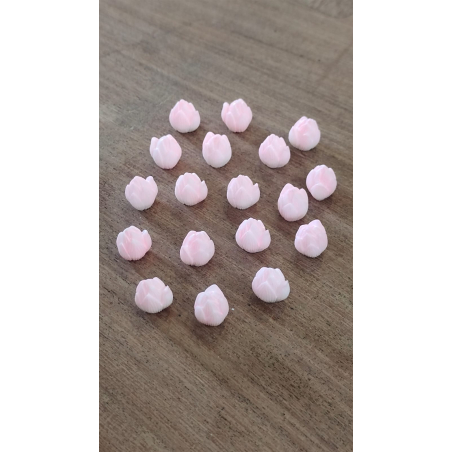 Lotus Buds