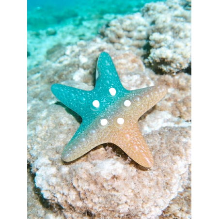 Glowing Star fish Big