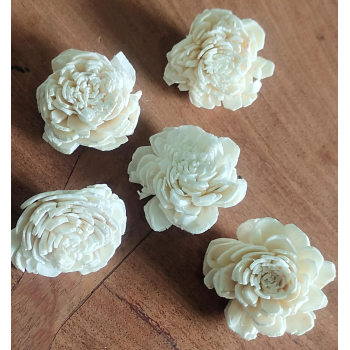 Sola Wood Flower Medium