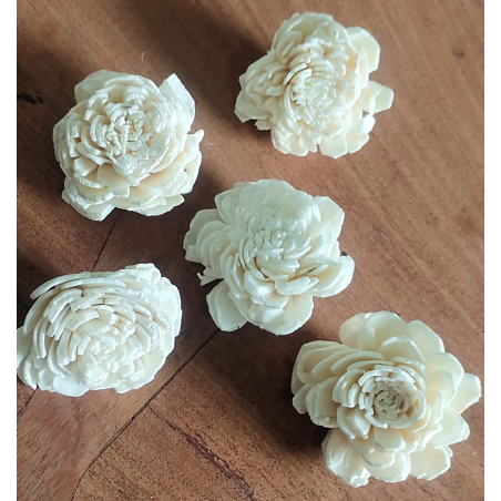 Sola Wood Flower Medium