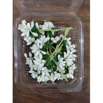 fillers Box- White