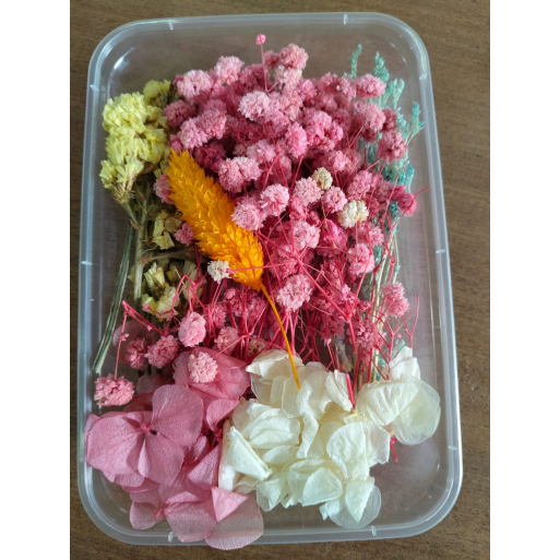Flower Box_01 Flower Box_01