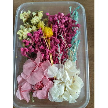 Flower Box_03