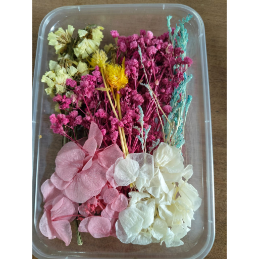 Flower Box_03 Flower Box_03