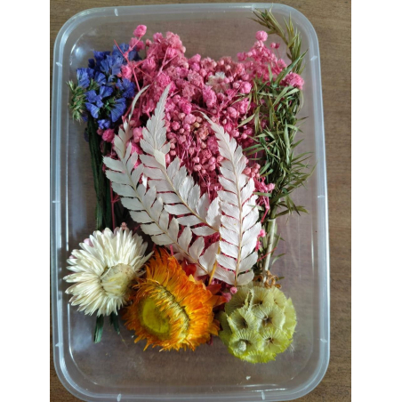 Flower Box_09