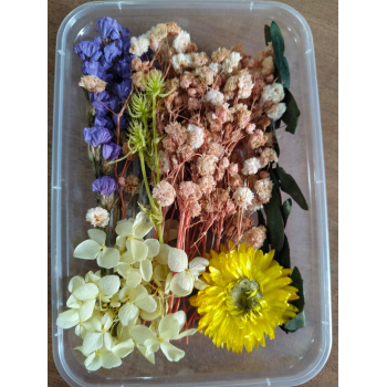 Flower Box_14