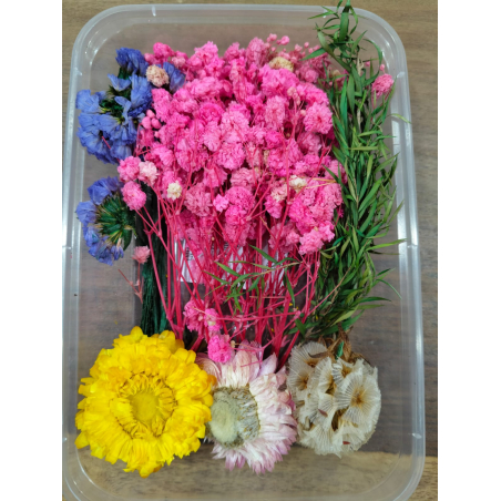Flower Box_15