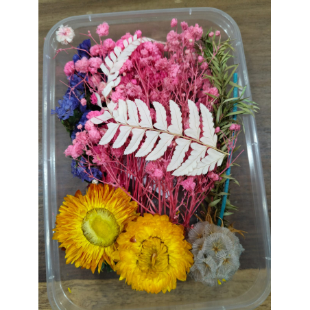 Flower Box_18