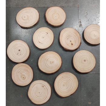 Wooden Slice-3 Inch